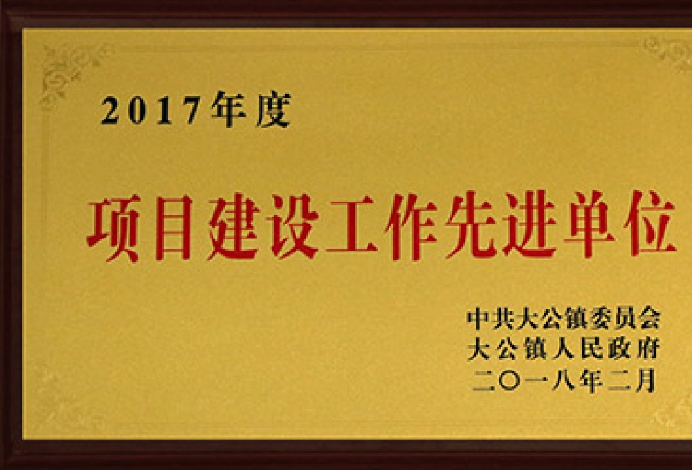 2017項目建設先進單位