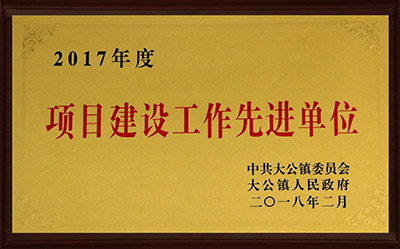 2017項目建設先進單位.jpg